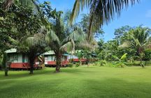 Tambopata Eco Jungle 3 Days Tour: (Nature and Wildlife)