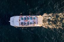 Cabo Sunset Dinner Cruise with Live Music & Open Bar on Cabo Wave