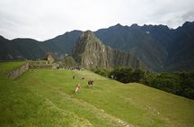 Full-Day Machu Picchu Tour from Cusco with No Tickets
