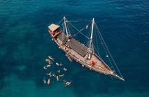 Treasure Hunt Snorkeling Lunch Cruise from Cabo San Lucas