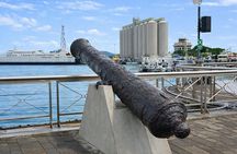 Mauritius Port Louis Tour: Self Guided GPS