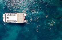 Cabo Escape Snorkel Fun Cruise 