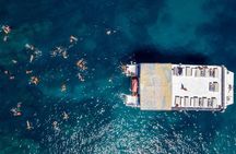 Cabo Escape Snorkel Fun Cruise 