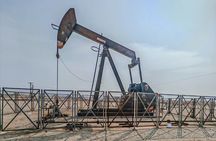 Private Flexible Tour of Bahrain with Local Guide Sadeq