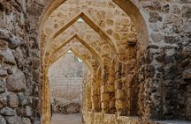 Private Flexible Tour of Bahrain with Local Guide Sadeq