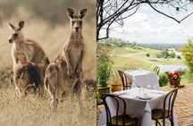 Wildlife, Wineries and History || Luxury Private Tour From Sydney