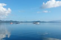 Puerto Princesa shore excursion to Luli, starfish, cowrie island