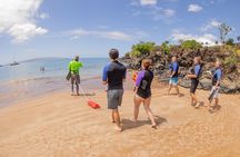 Snorkel with Turtles Wailea Beach