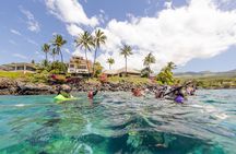 Snorkel with Turtles Wailea Beach