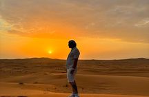 Red Dunes Desert Safari with Dune Bashing and BBQ Dinner 