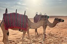 Red Dunes Desert Safari with Dune Bashing and BBQ Dinner 