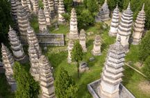 Zhengzhou Private Tour to Shaolin Temple including Kungfu Lesson and Activities