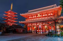 Private Customizable Tokyo City Tour with Highlights