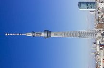 Private Customizable Tokyo City Tour with Highlights