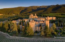 Private Mexico City Trip to Real del Monte with Basaltic Prisms