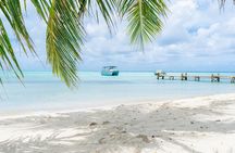 Samoa: Private Tour