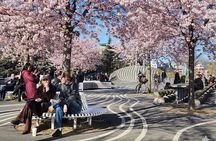 Nørrebro Walking Tour – The World’s Coolest Neighborhood