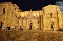 Lion: Private tour in English, Italian or Spanish.