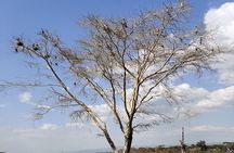 Hell’s Gate, Naivasha & Crescent Island Day Safari
