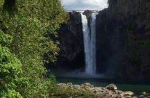 From Seattle Snoqualmie Falls Half Day Trip with Scenic Views