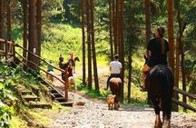 One Nomad Day Tour Horseback Riding, Archery at Chunkurchak