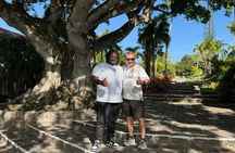  Nevis Private Island Tour with Drinks & Beach Time.