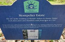  Nevis Private Island Tour with Drinks & Beach Time.