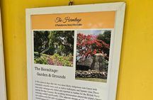  Nevis Private Island Tour with Drinks & Beach Time.