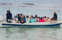 Discover Catalina Island from Punta Cana DR An Escape Journey
