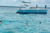 Discover Catalina Island from Punta Cana DR An Escape Journey