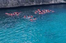 Discover Catalina Island from Punta Cana DR An Escape Journey