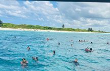 Discover Catalina Island from Punta Cana DR An Escape Journey