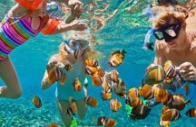 #1Punta Cana Adults Only Party Boat with Snorkel Open Bar and DJ