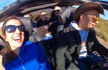 Private Jeep Off Road Adventure in Arizona Desert with Huskies