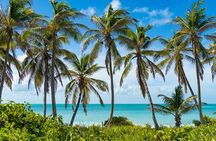 Contoy Island Tour with Untouched Paradise and Beach Day