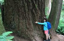 Private Twin Falls Hiking & Waterfall Tour with Treehouse Coffee