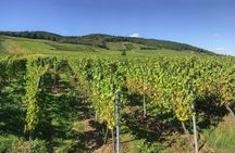 Half-day small group tour from Colmar to castle,Riquewihr