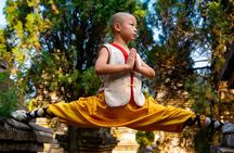 All Inclusive Luoyang Private Day Tour to Shaolin Temple and Longmen Grottoes