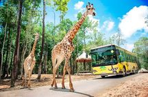 VinWonders & VinSafari & Lunch with Aquarium View