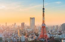 Private Customizable Tokyo City Tour with Highlights