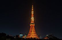 Private Customizable Tokyo City Tour with Highlights