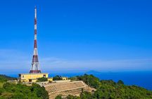 Da Nang Hai Van Pass Linh Ung Pagoda Son Tra Peak Tour