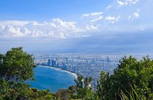 Da Nang Hai Van Pass Linh Ung Pagoda Son Tra Peak Tour