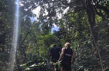 Puerto Rico Waterfall Hiking Tour: Discover Hidden Gems 2.0