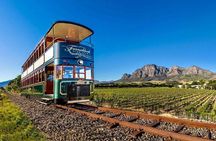 Full‑Day Stellenbosch and Franschhoek Wine Tour from Cape Town