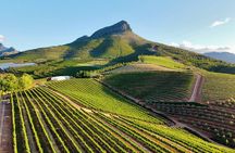 Full‑Day Stellenbosch and Franschhoek Wine Tour from Cape Town