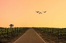 Full‑Day Stellenbosch and Franschhoek Wine Tour from Cape Town