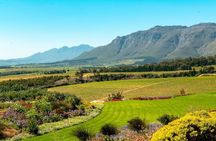 Half-Day Stellenbosch Winelands Tour from Cape Town
