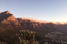 Full-Day Cape Peninsula Tour from Cape Town