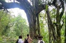 Munduk Twin Lake Jungle Trek with Sacred Forest Temples&Canoeing